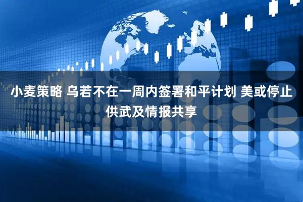 小麦策略 乌若不在一周内签署和平计划 美或停止供武及情报共享