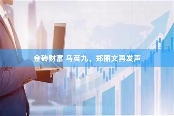 金砖财富 马英九、郑丽文再发声