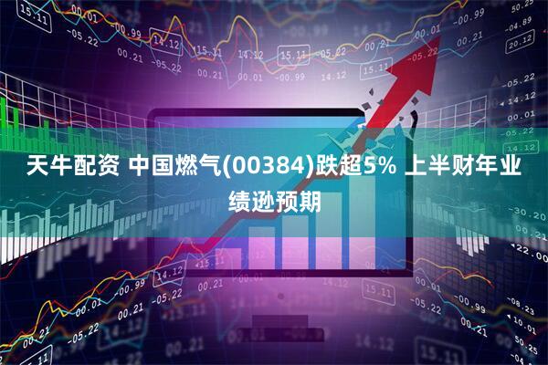 天牛配资 中国燃气(00384)跌超5% 上半财年业绩逊预期