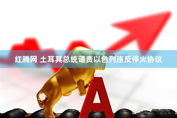 红腾网 土耳其总统谴责以色列违反停火协议