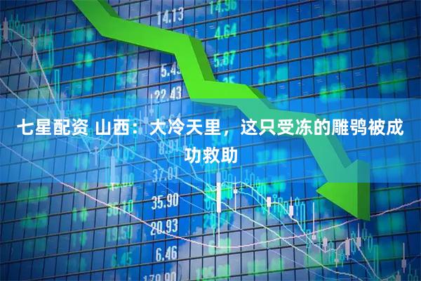 七星配资 山西：大冷天里，这只受冻的雕鸮被成功救助