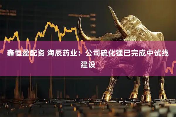 鑫恒盈配资 海辰药业：公司硫化锂已完成中试线建设